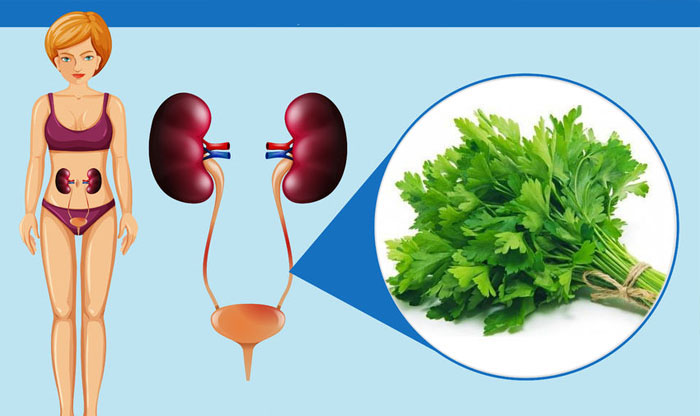 10 Astonishing Health Benefits of Parsley