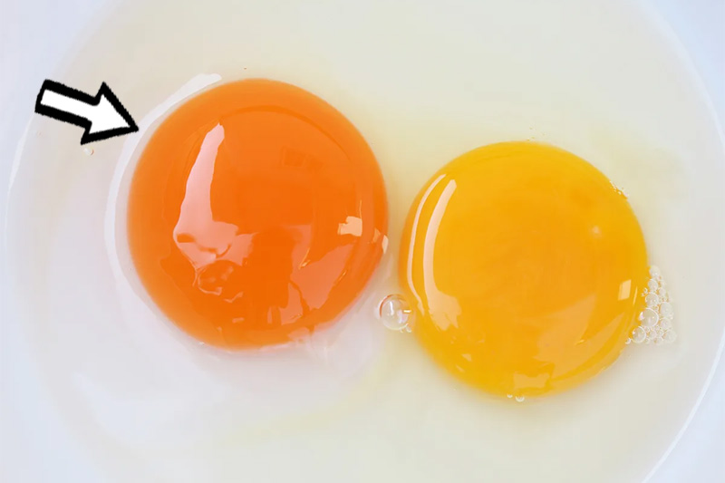 Is Egg With Orange Yolk Healthier?